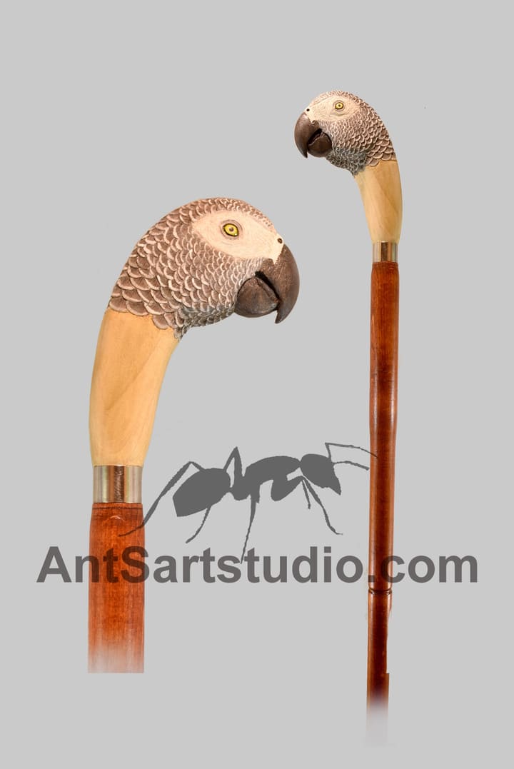 african grey parrot wood walking stick