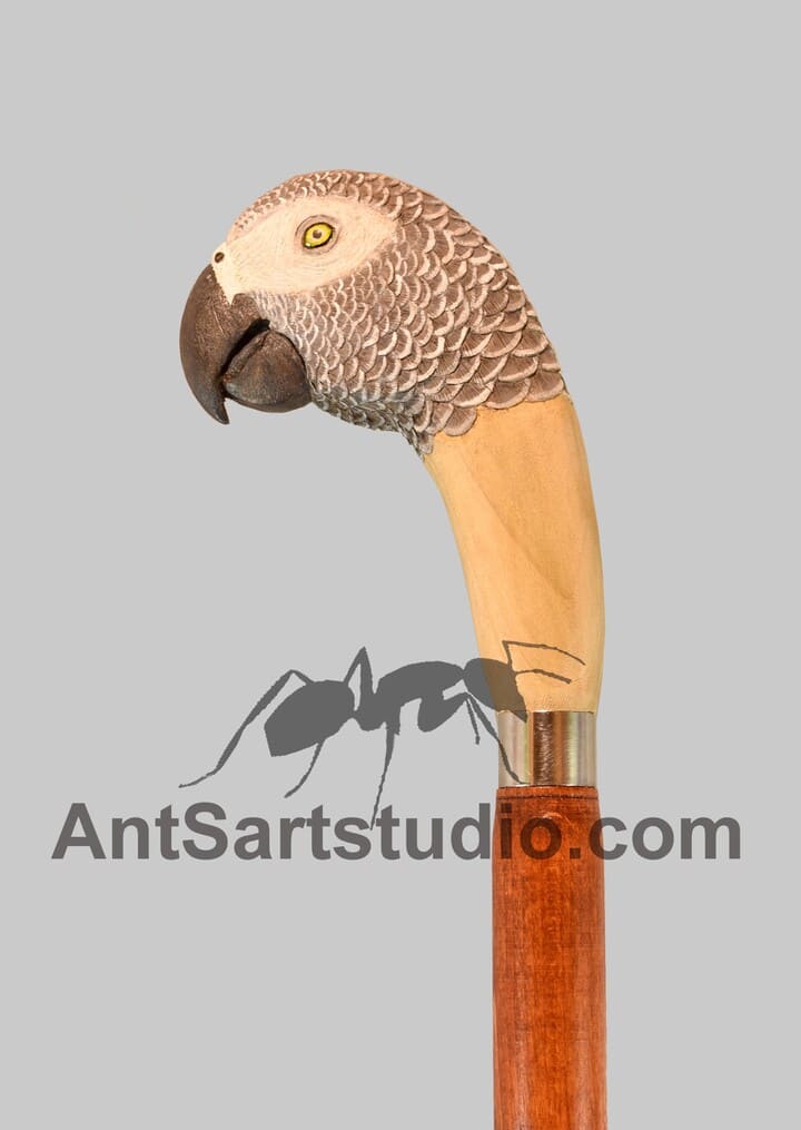 parrot head walking stick