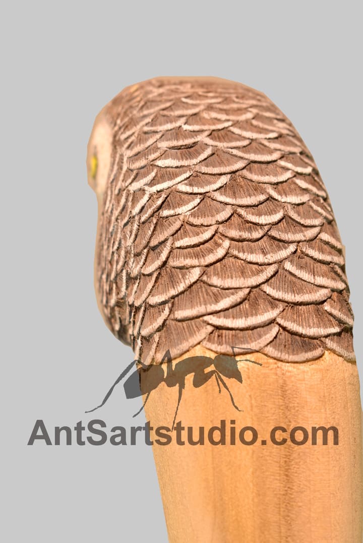 parrot feathers carving