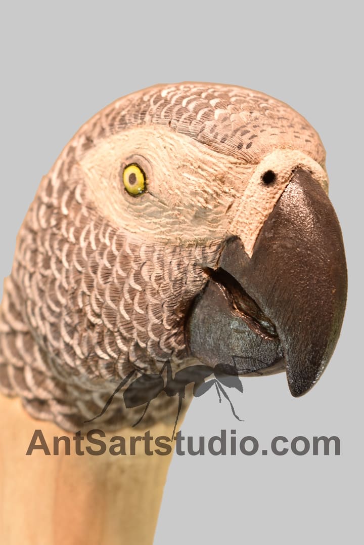 sculpture parrot 