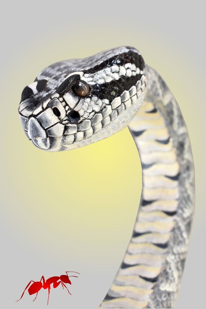 Diamondback rattlesnake wooden walking cane ,hand carved cane snake sculpture,rattlesnake walking stick - AntSarT 