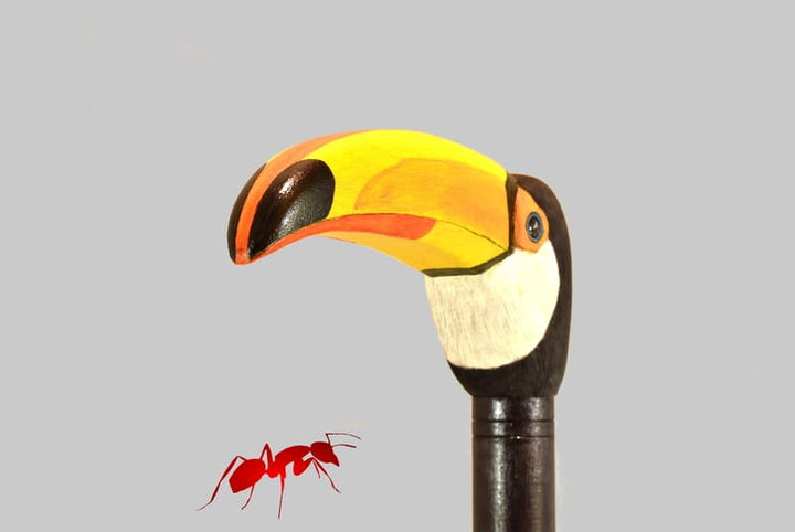 Toucan head handle ,hand carved cane for bird lovers,realistic original walking stick - AntSarT 