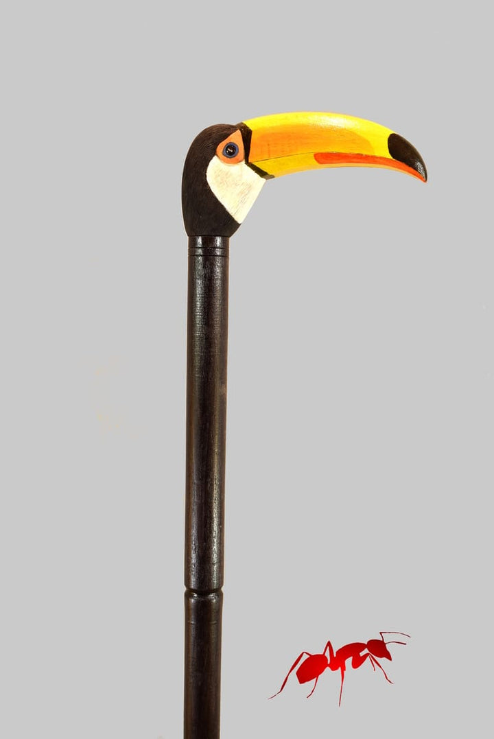 toucan handle walking cane
