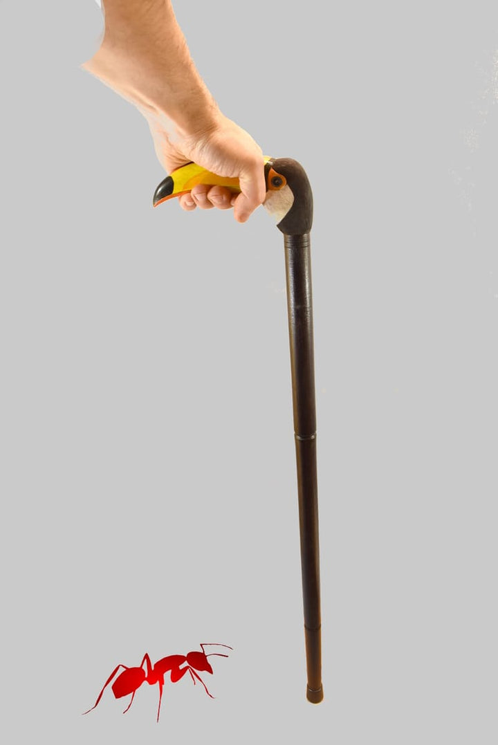walking stick toucan