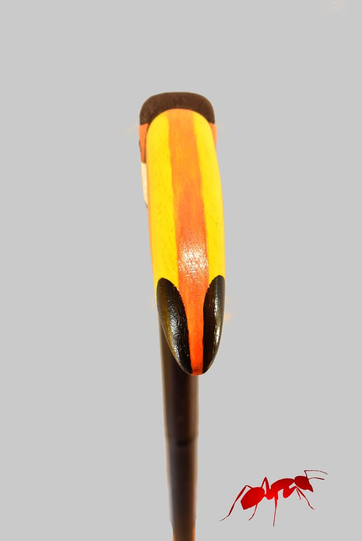 Toucan head handle ,hand carved cane for bird lovers,realistic original walking stick - AntSarT 
