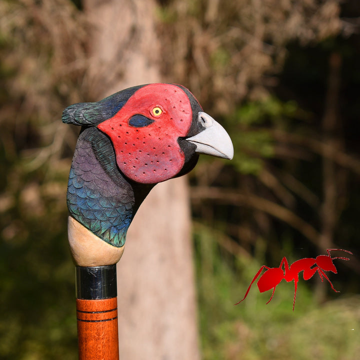 pheasant wood walking stick