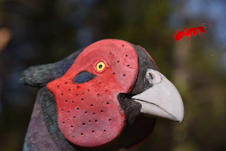 custom wood walking stick,pheasant bird,hunting decor gift for bird lovers - AntSarT 