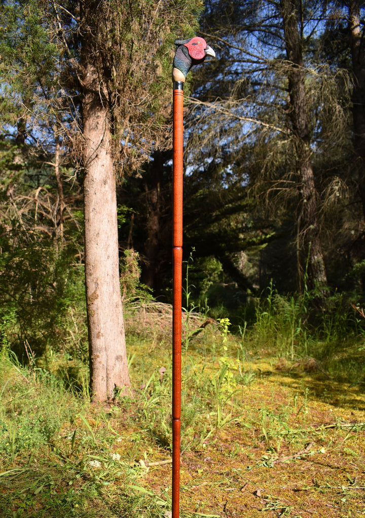 custom wood walking stick,pheasant bird,hunting decor gift for bird lovers - AntSarT 