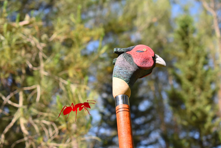 custom wood walking stick,pheasant bird,hunting decor gift for bird lovers - AntSarT 