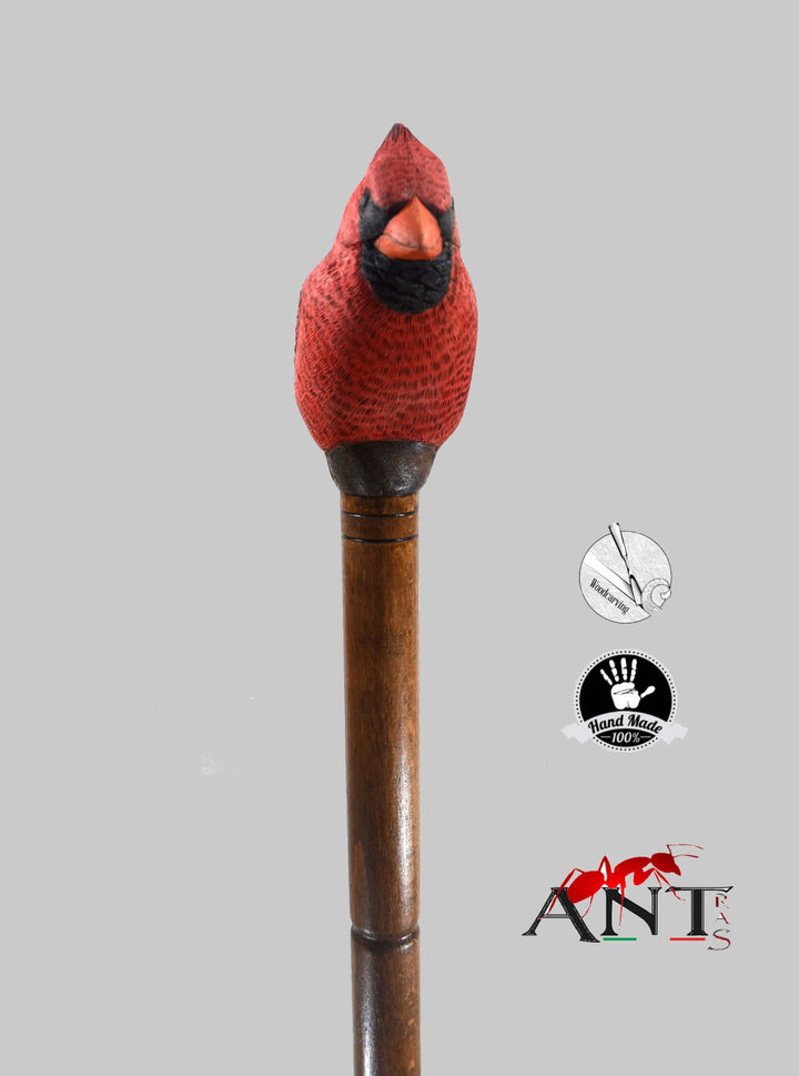 cardinal bird walking cane