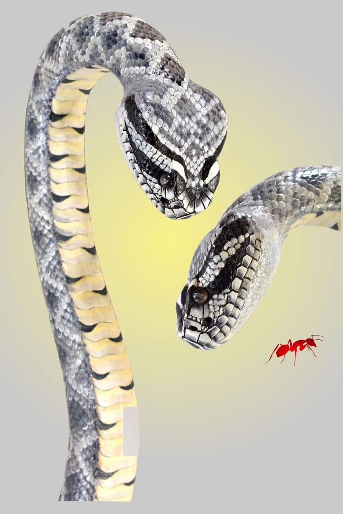 snake walking cane