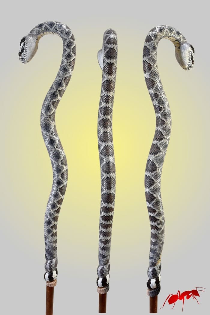 rattlesnake full body carving