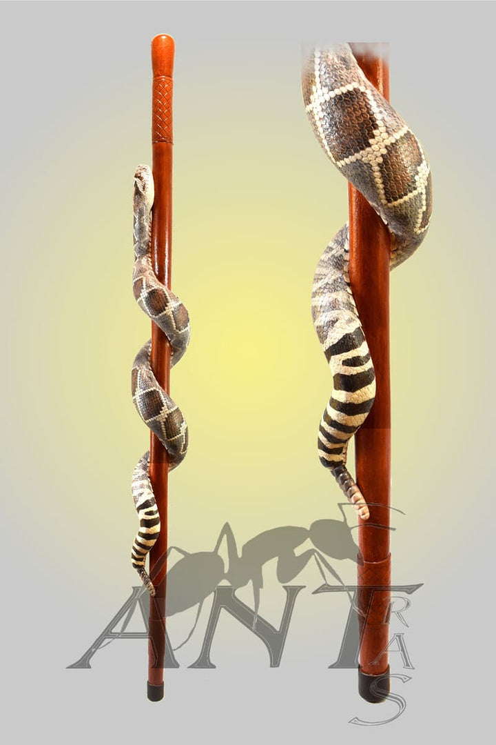 handcraft climbing snake walking stick