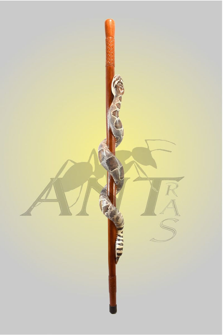 Diamondbak rattlesnake hiking staff