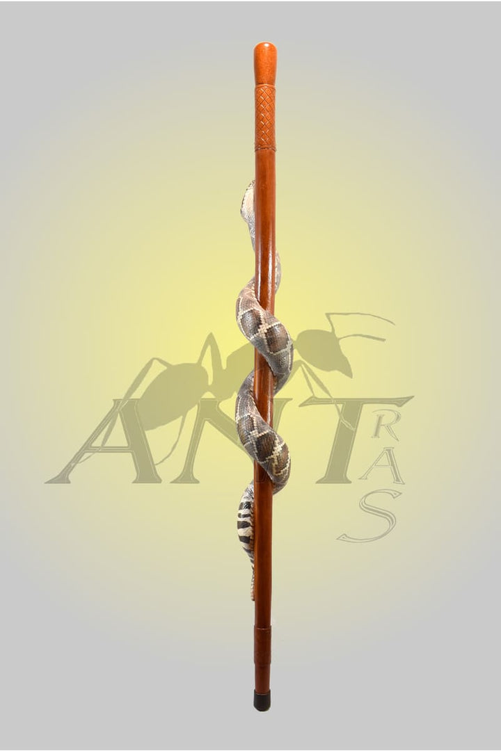 Snake wooden walking stick full body,hand carved twisted stick art,rattlesnake walking stick for sale made to order - AntSarT 