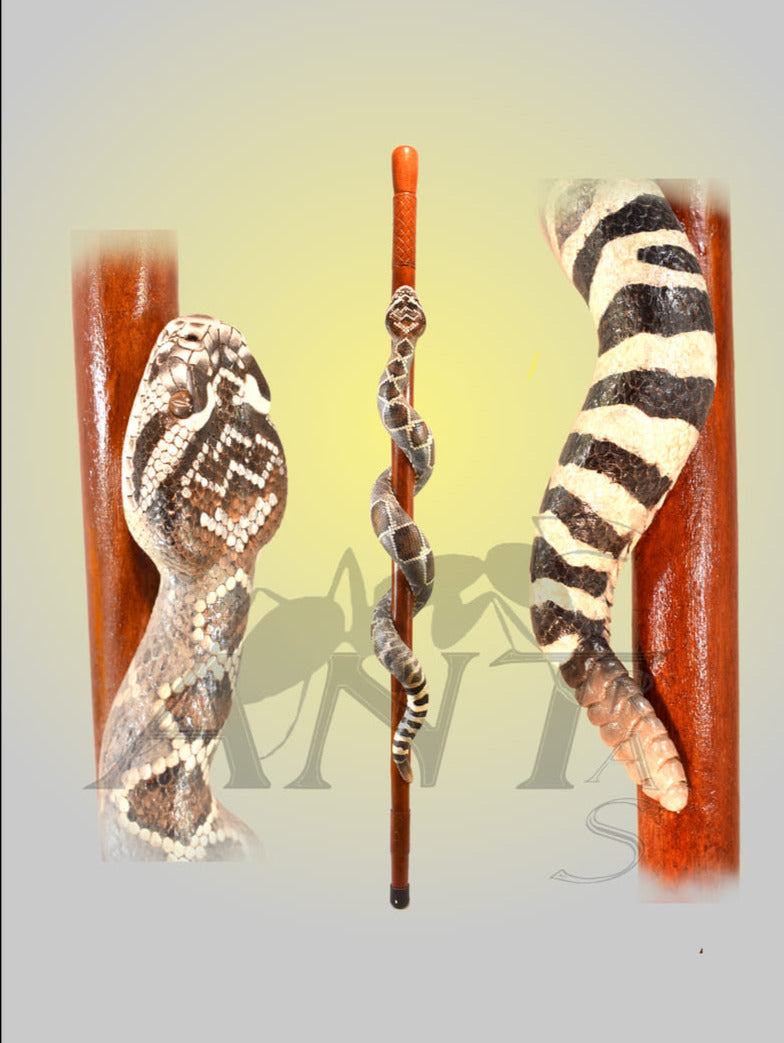 Hand carved twisted rattlesnake walking stick for sale | AntSarT