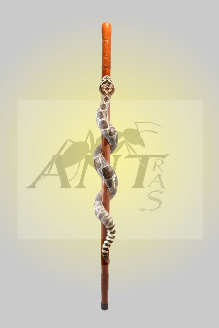 twisted rattlesnake walking stick