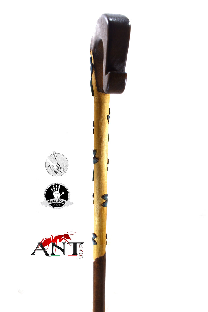 dragonflies walking stick