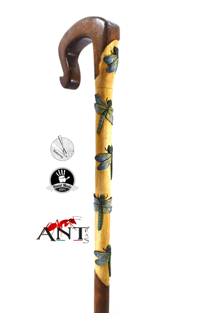 dragonfly walking stick
