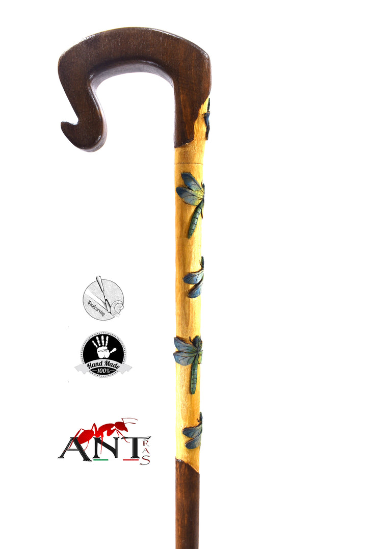 dragonfly walking stick